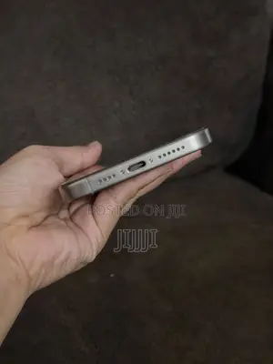 Apple iPhone 15 Pro Max 512 GB Silver
