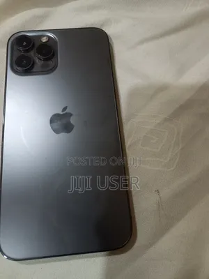Apple iPhone 12 Pro Max 256 GB Gray