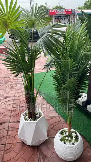 Beautiful Plants