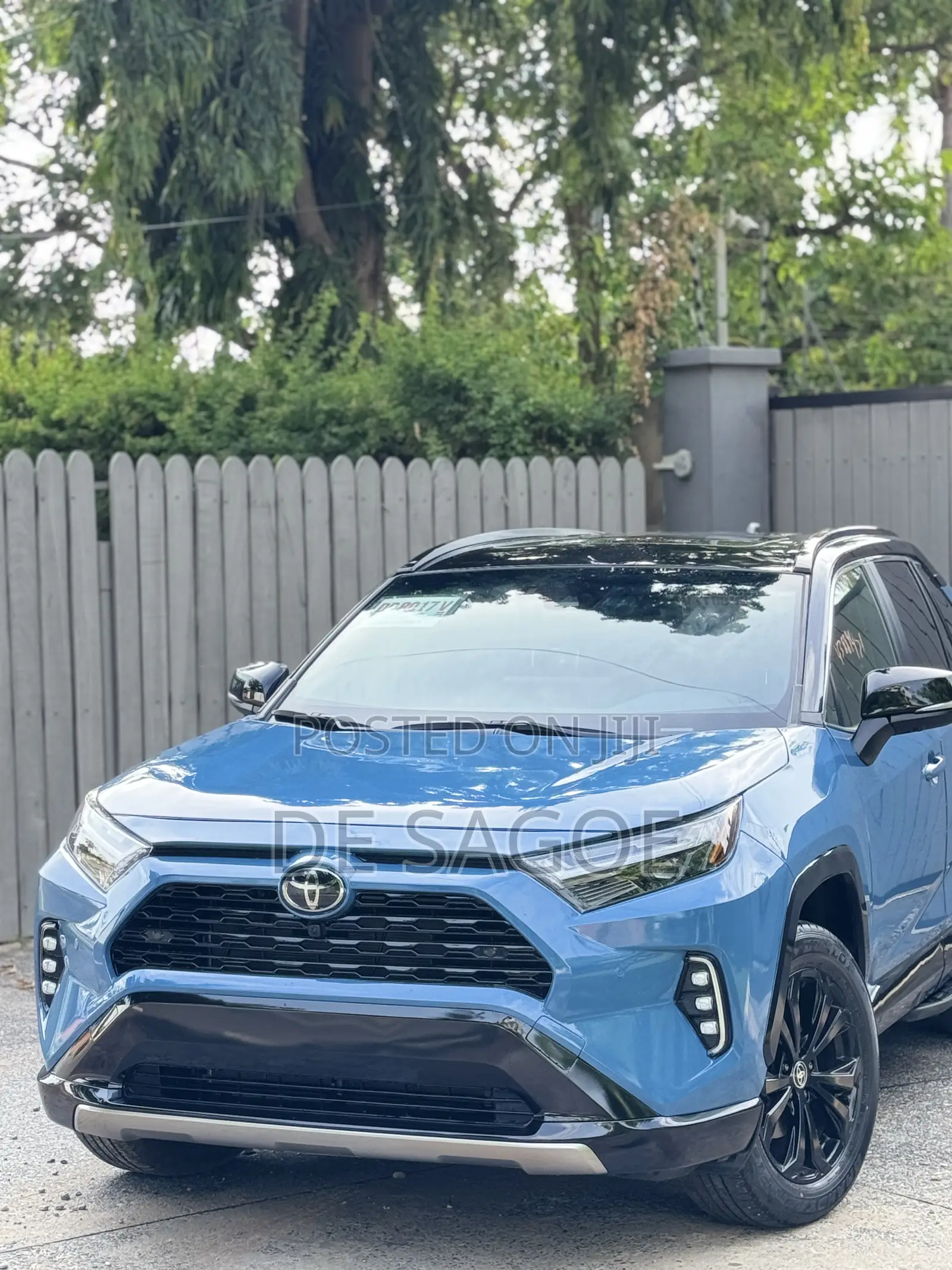 Toyota RAV4 XLE Premium 2025 Blue