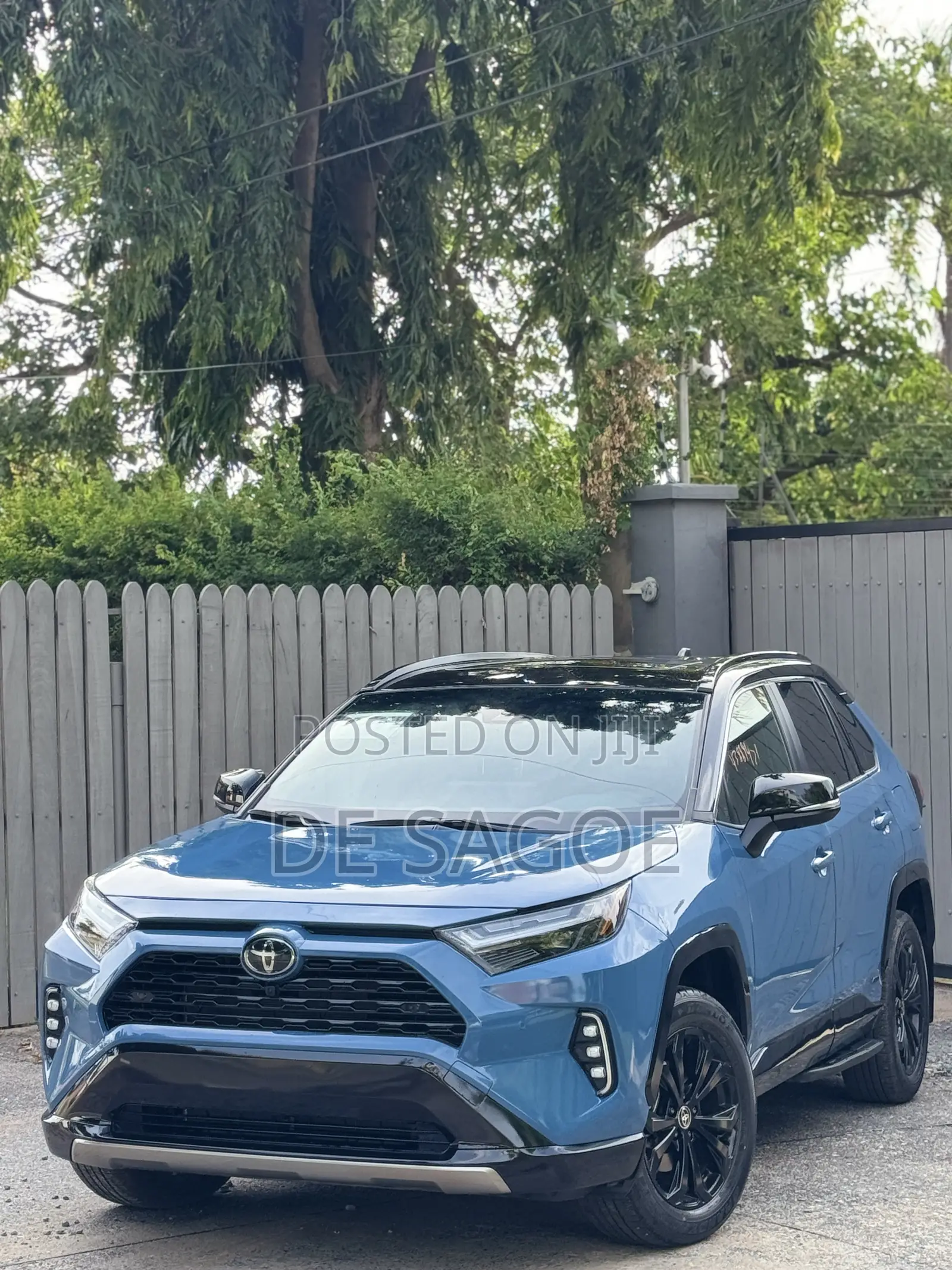 Toyota RAV4 XLE Premium 2025 Blue