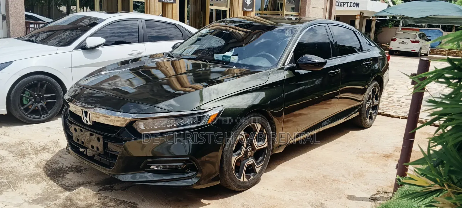 Honda Accord for Rent