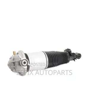 Cayenne / Q7 / Touareg Air Strut Rear Left — Ridex Sealed