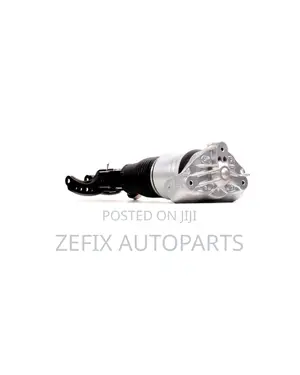 Cayenne / Q7 / Touareg Air Strut Front Right Alt — Ridex