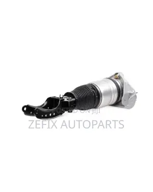 Cayenne / Q7 / Touareg Air Strut Front Right Alt — Ridex