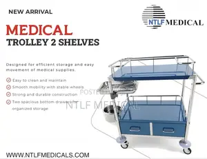 Medicine Trolley With Drawers (2 Steps, Stainless)