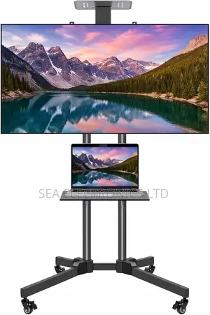 Fairview Mobile Tv
