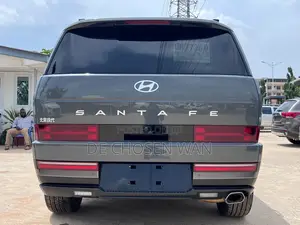 Hyundai Santa Fe Limited 2024 Gray