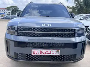 Hyundai Santa Fe Limited 2024 Gray