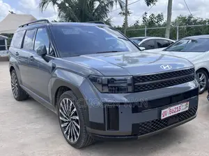 Hyundai Santa Fe Limited 2024 Gray