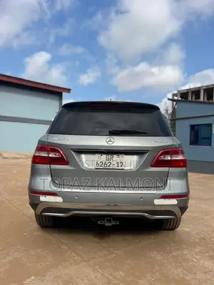 Mercedes-Benz M Class 2014 Silver