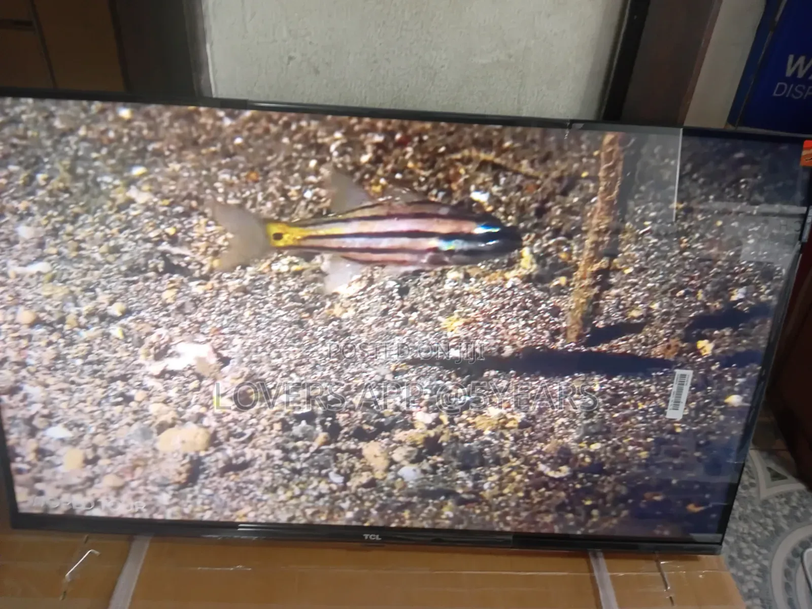TCL 32-Inch Led Smart Tv for Home Viewing