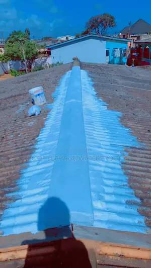 Roof Leakage