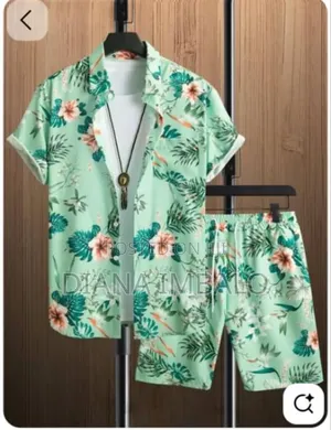 Men Clothing Top and Down
