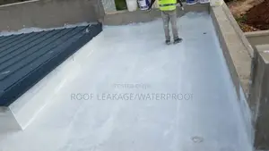 Roof Leakage