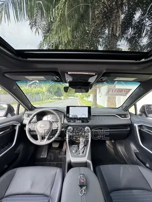 Toyota RAV4 XLE Premium 2025 Blue