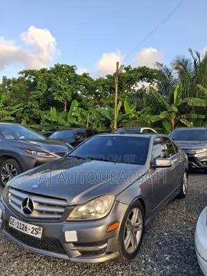 Mercedes-Benz C250 2014 Gray