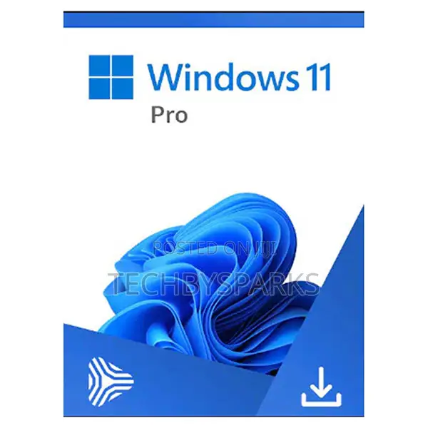 Microsoft Windows 11 Pro