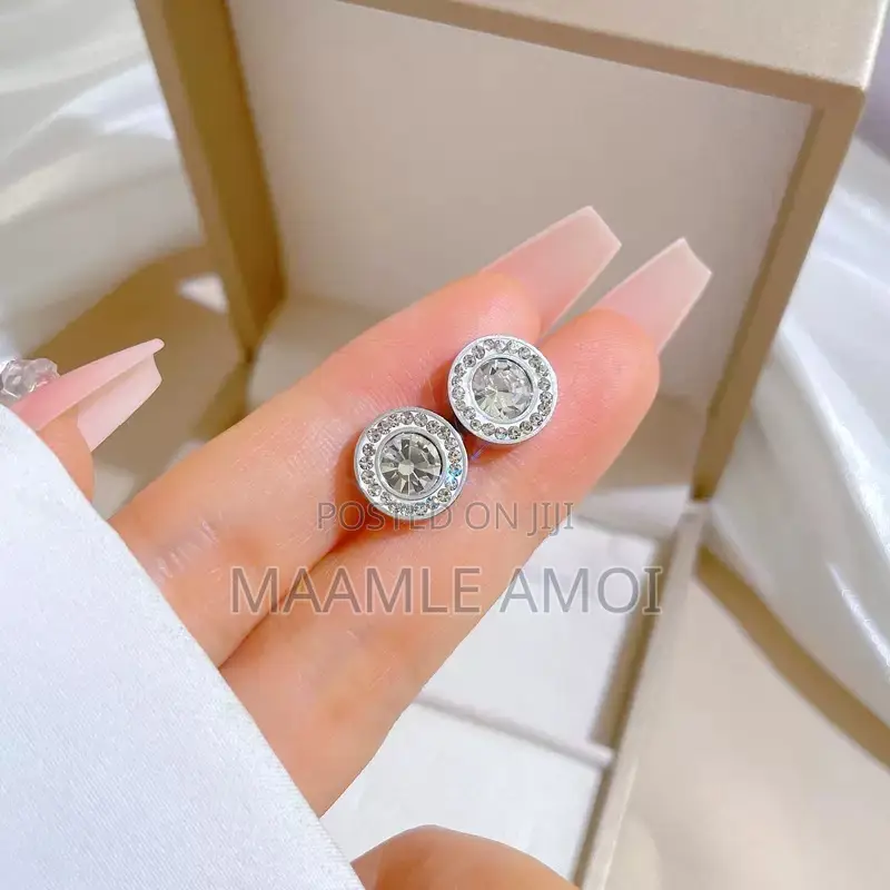 Stainless Steel Cute Earrings