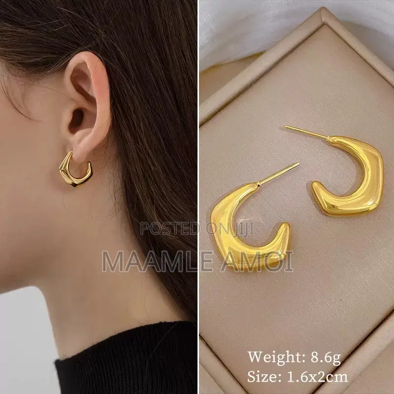 Stainless Steel Cute Earrings