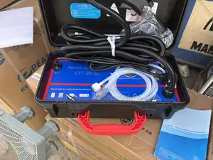 Portable Car Steam Cleaner