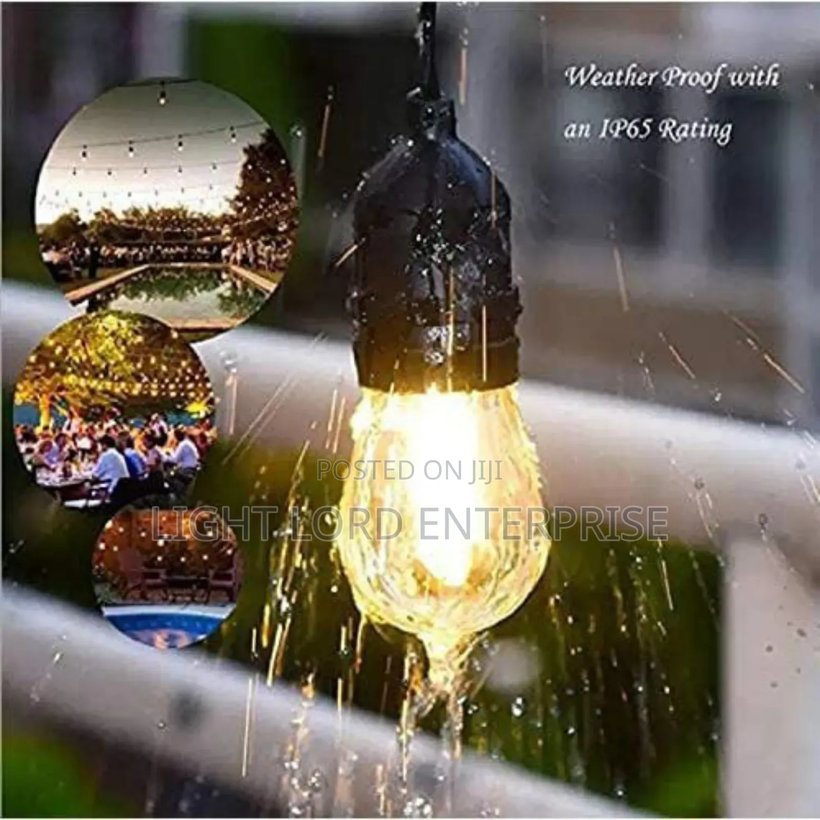 Warm Color Bulb