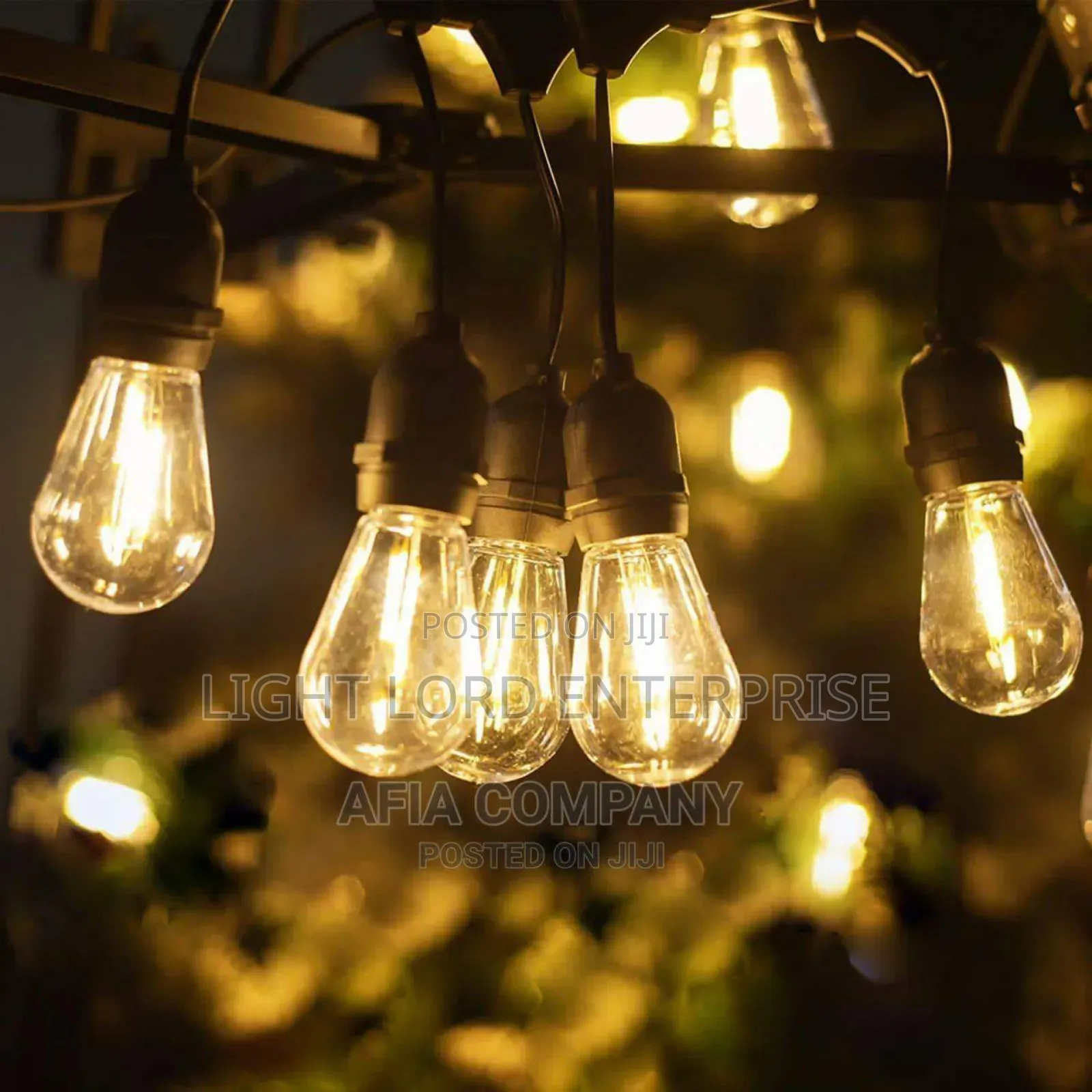 ) ( 000) Spring Led Light 20bulbs and 10meters