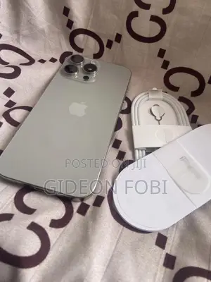 Apple iPhone 16 Pro Max 256 GB Silver