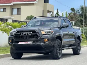 Toyota Tacoma TRD Pro 2019 Gray