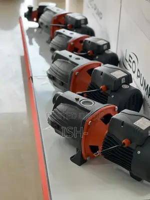 Leo 1.0hp Water Pump