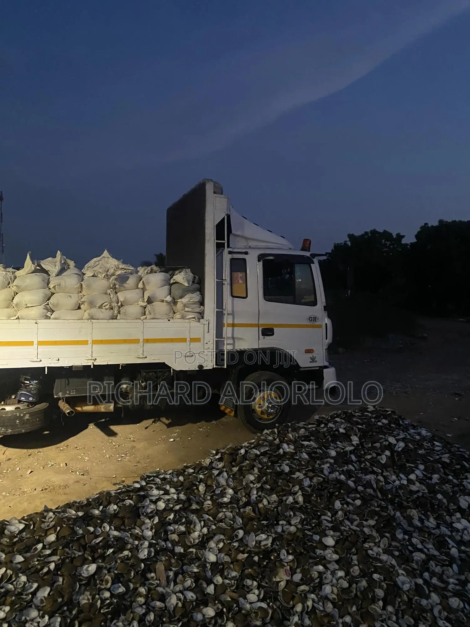 Powdered Oyster Shells