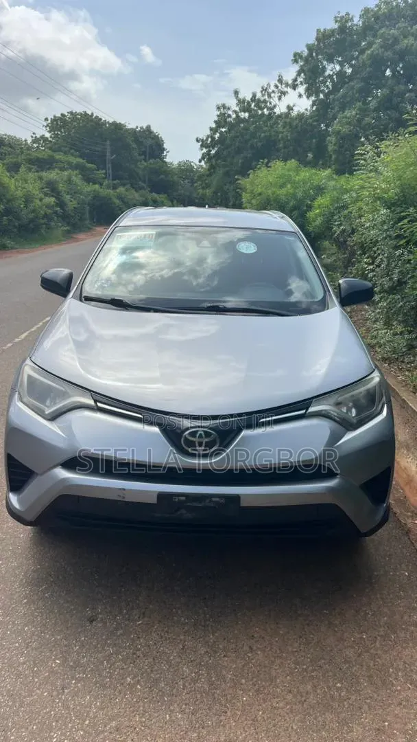Toyota RAV4 LE AWD (2.5L 4cyl 6A) 2017 Gray