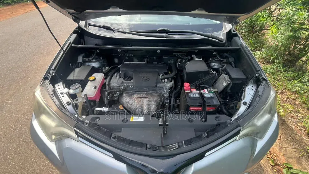 Toyota RAV4 LE AWD (2.5L 4cyl 6A) 2017 Gray