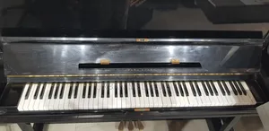 Young Chang Acoustic Piano
