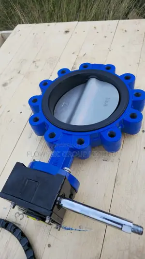 Dn200 Butterfly Valve With Gearbox Wheel 8-Inch