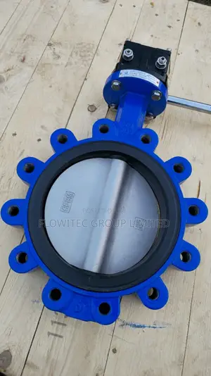 Dn200 Butterfly Valve With Gearbox Wheel 8-Inch