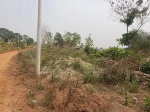 Trouble-Free Plots Selling at Trede Mpatasie