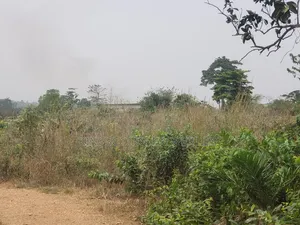 Trouble-Free Plots Selling at Trede Mpatasie