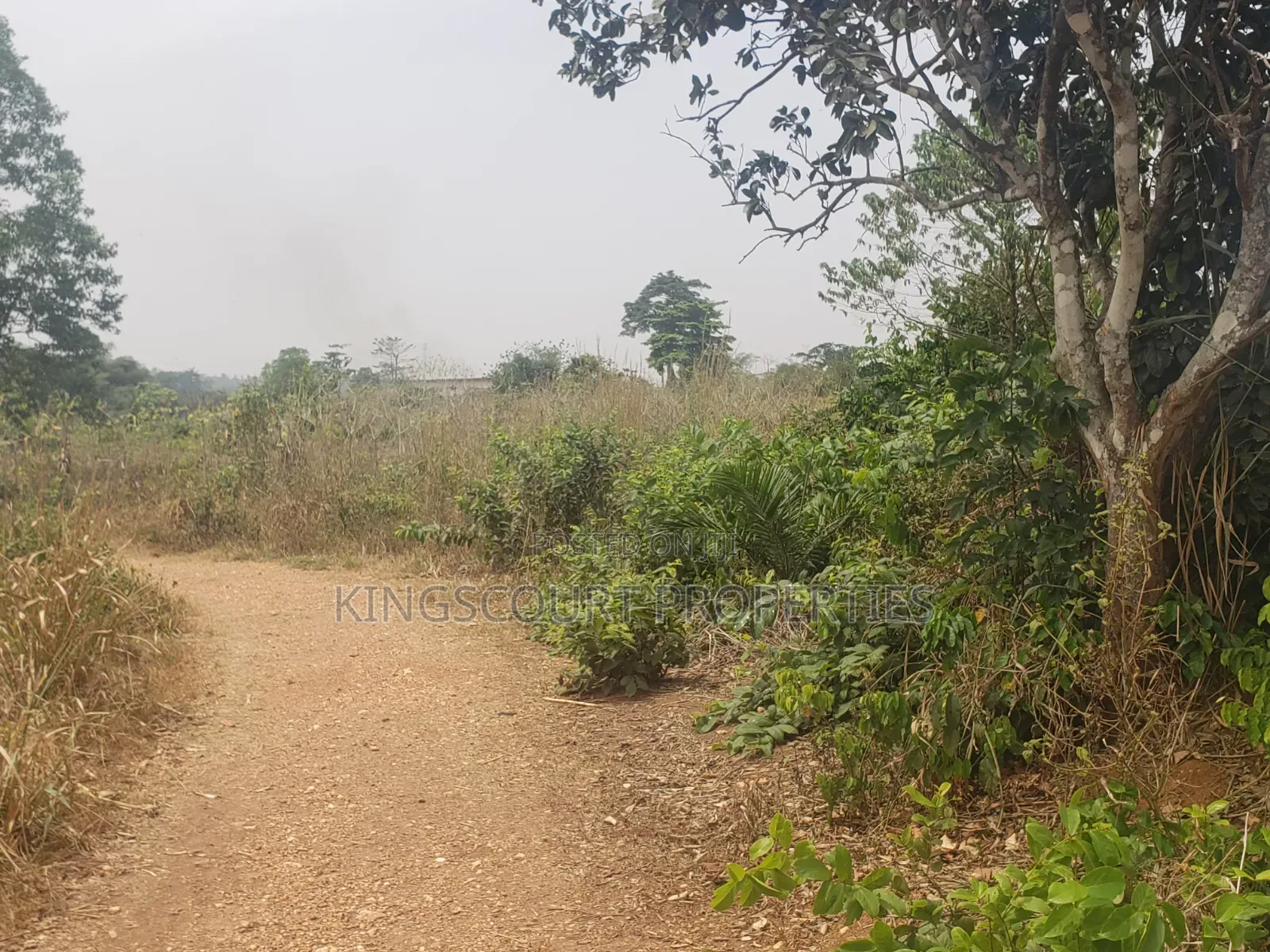 Trouble-Free Plots Selling at Trede Mpatasie