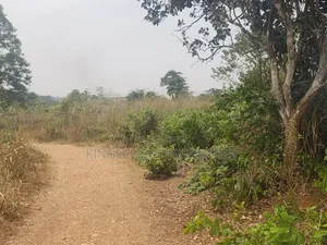 Trouble-Free Plots Selling at Trede Mpatasie