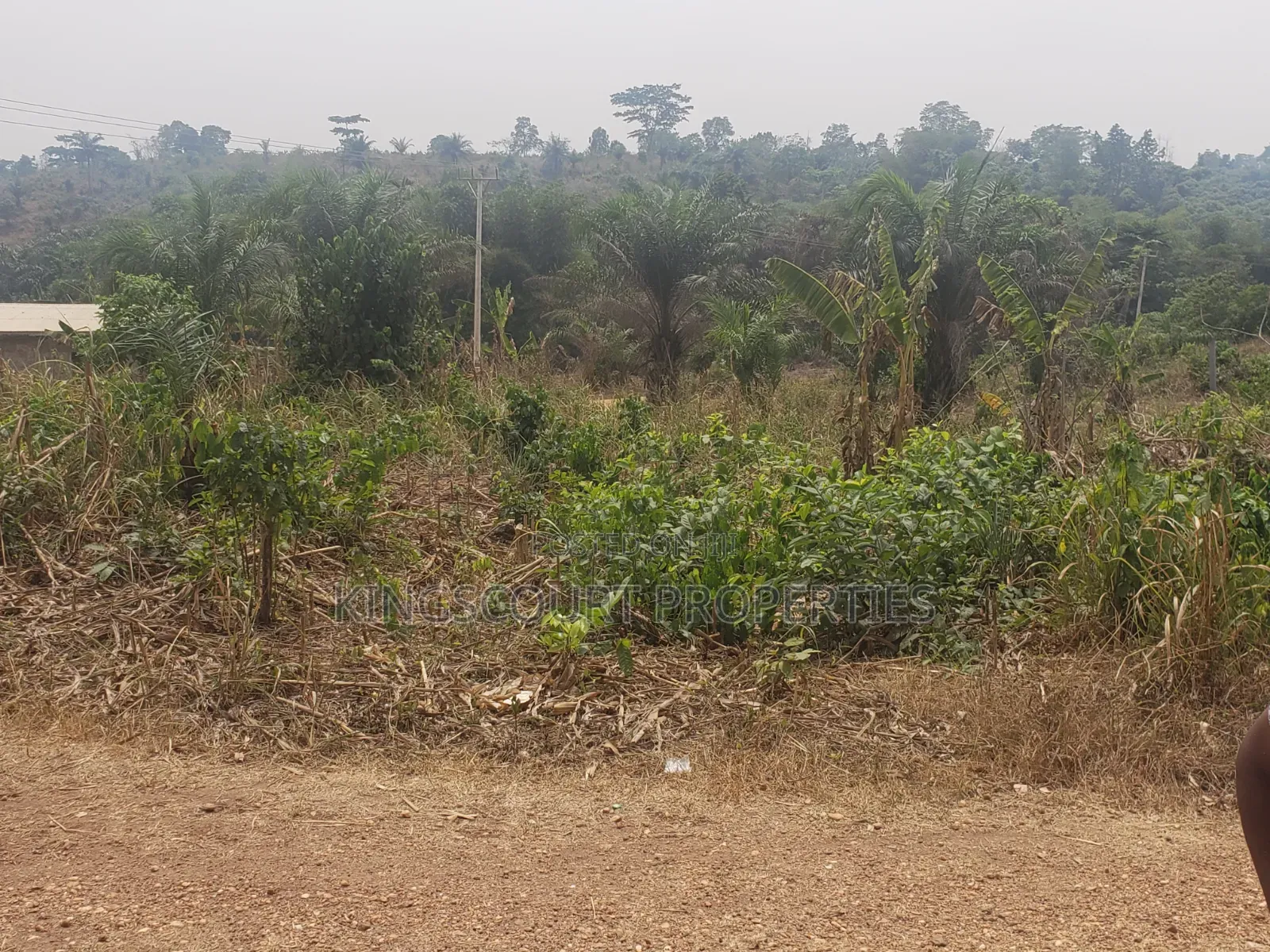 Trouble-Free Plots Selling at Trede Mpatasie