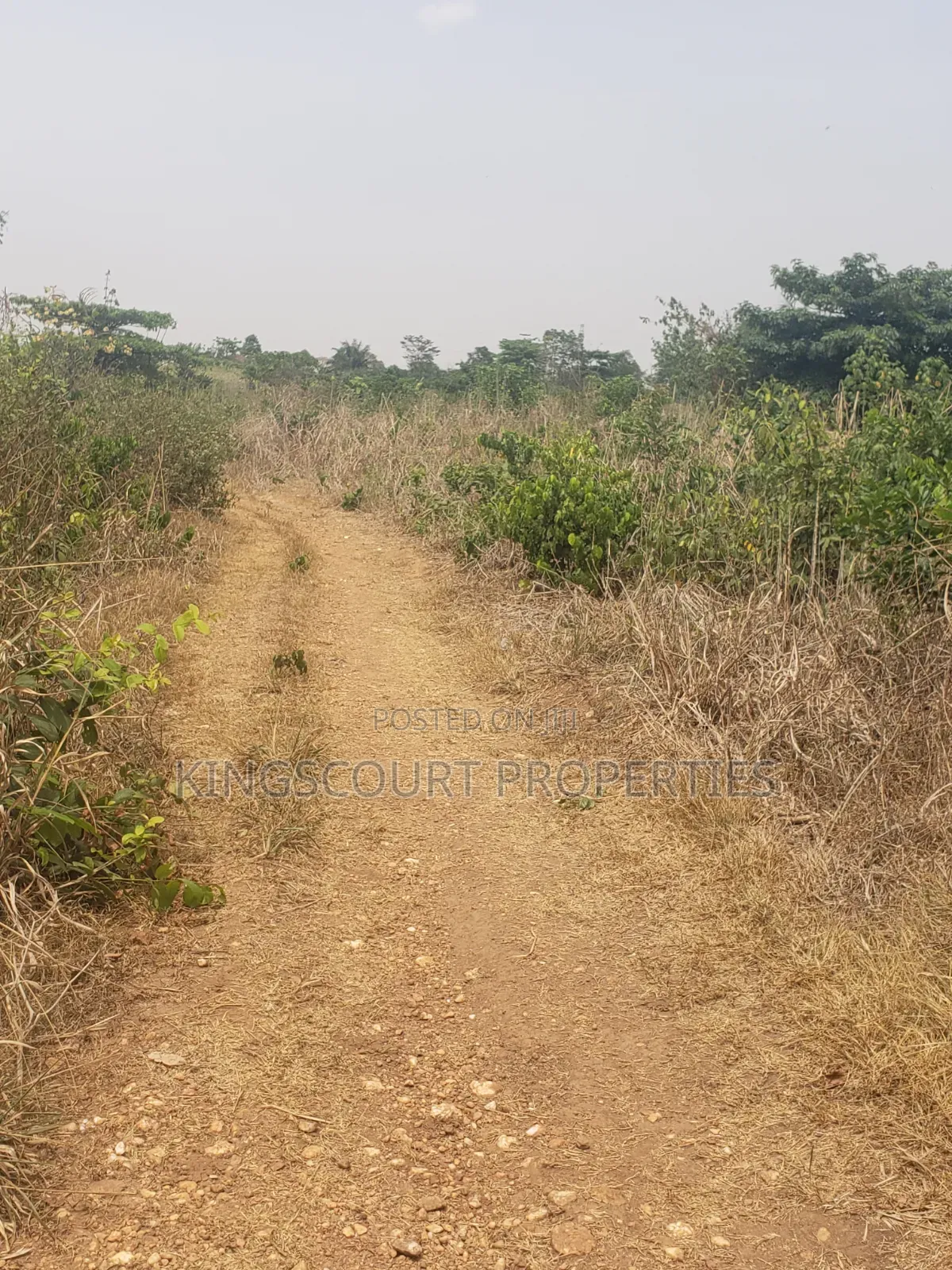 Trouble-Free Plots Selling at Trede Mpatasie