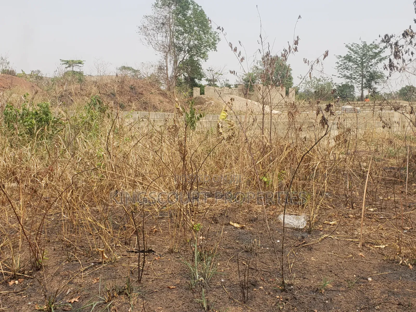Trouble-Free Plots Selling at Trede Mpatasie
