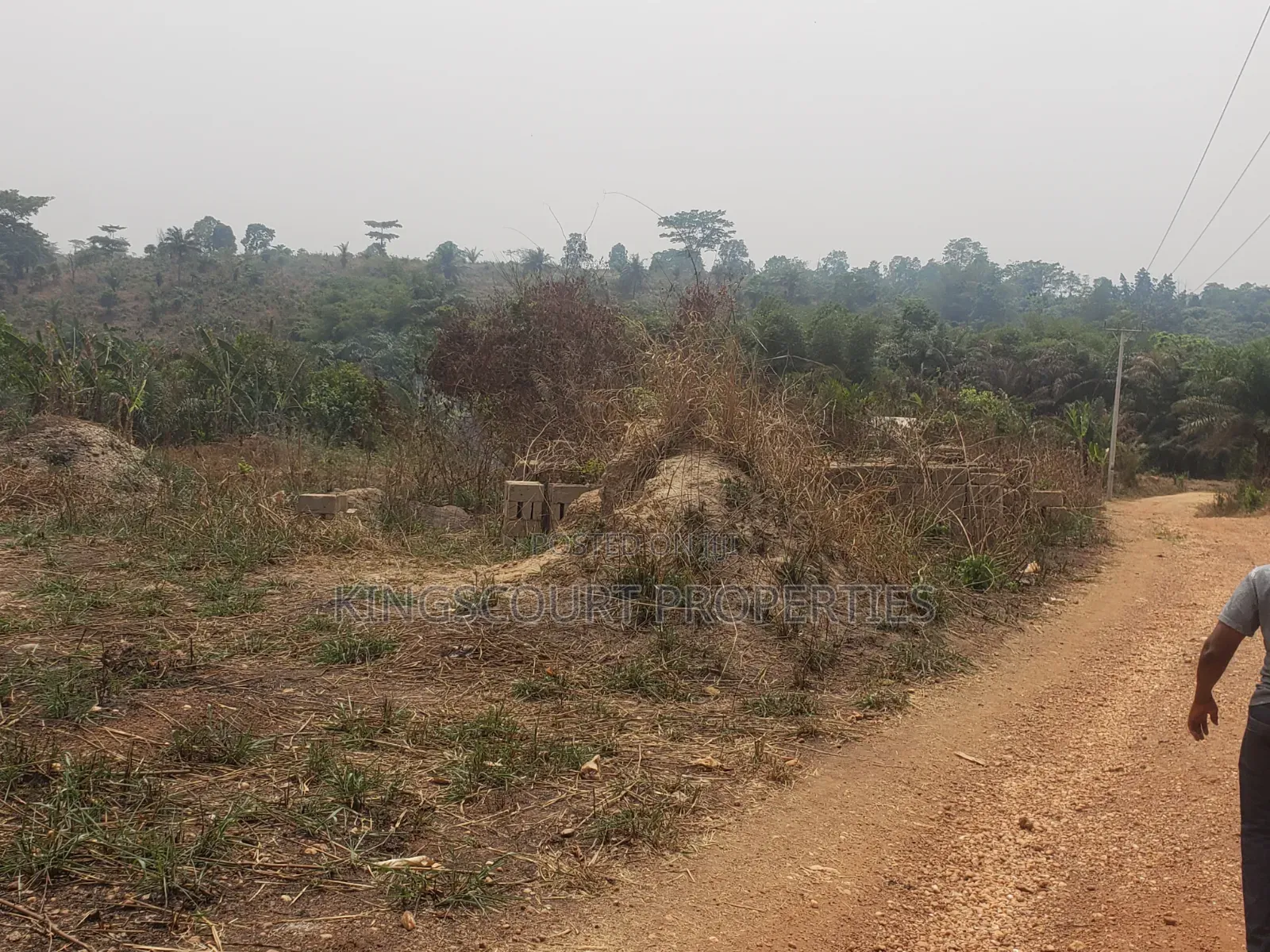 Trouble-Free Plots Selling at Trede Mpatasie