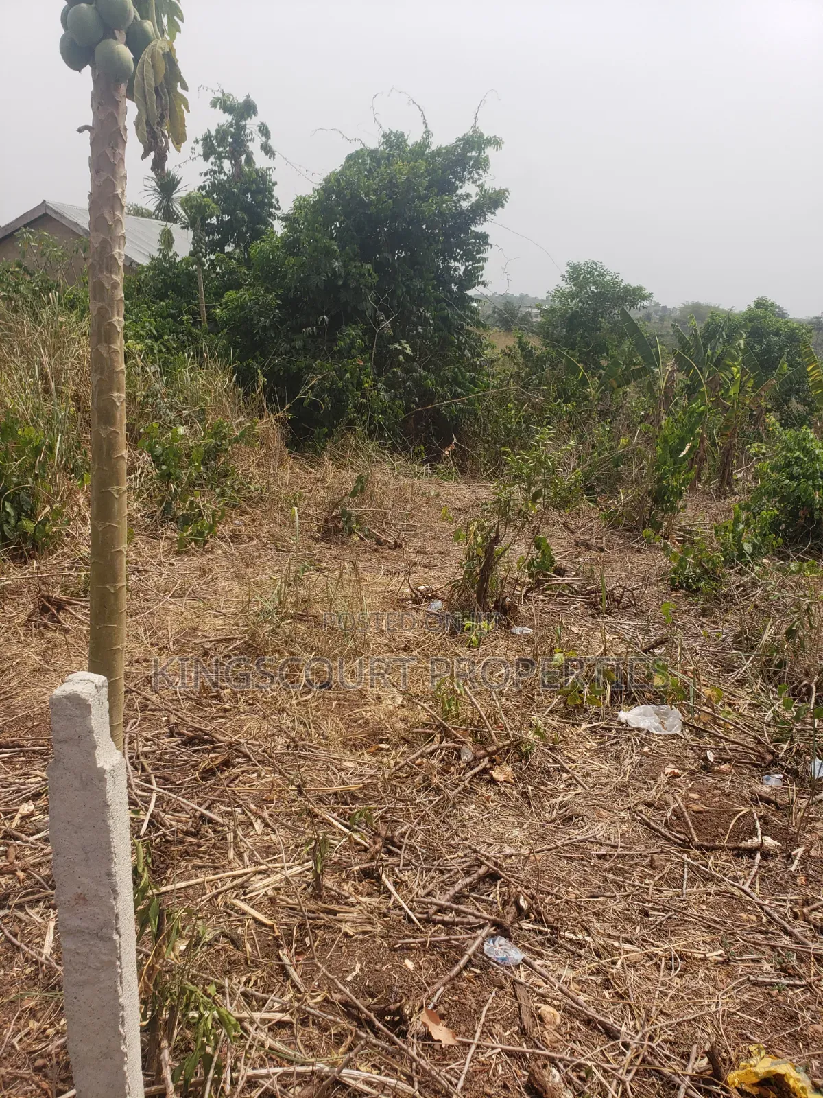 Trouble-Free Plots Selling at Trede Mpatasie