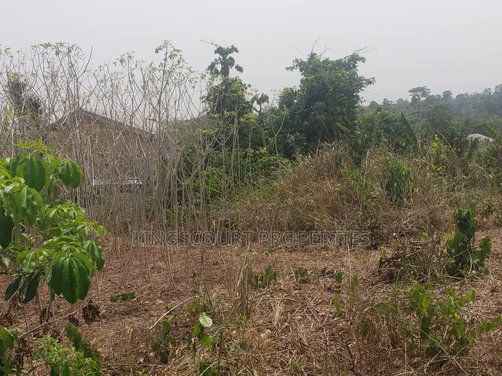 Trouble-Free Plots Selling at Trede Mpatasie