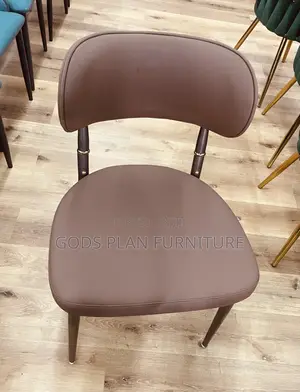 Leisure Chair/ Auditorium Chair