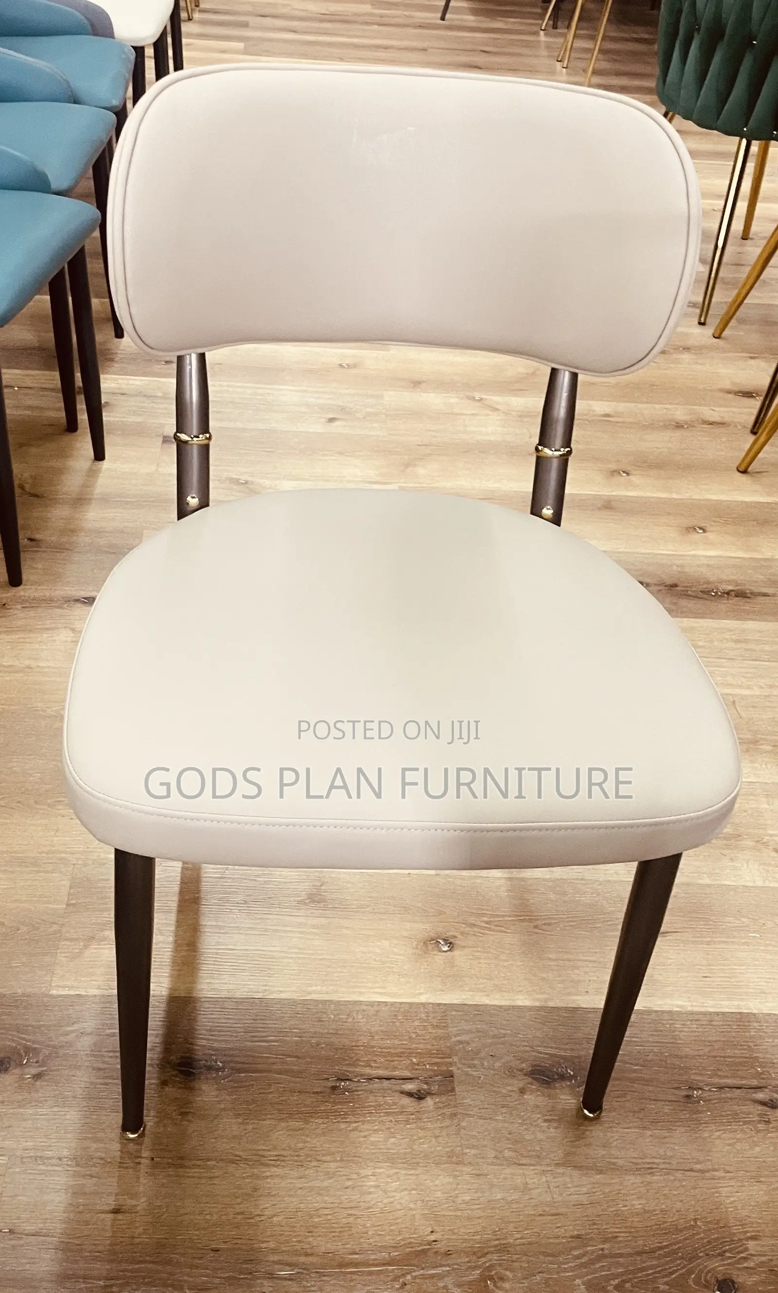Leisure Chair/ Auditorium Chair