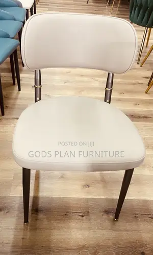Leisure Chair/ Auditorium Chair