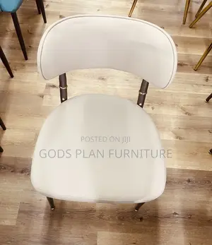 Leisure Chair/ Auditorium Chair